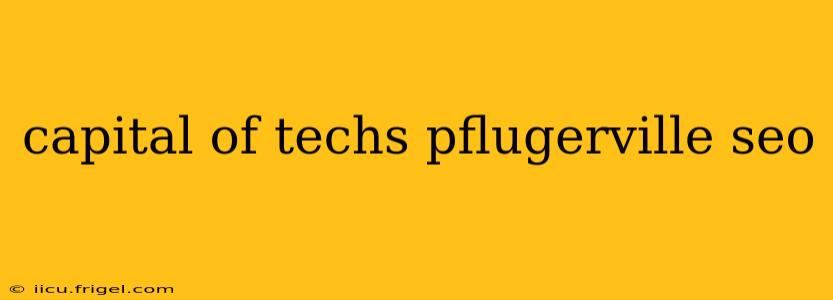 capital of techs pflugerville seo