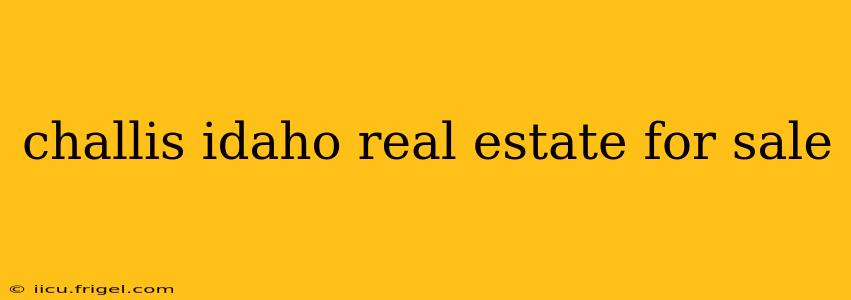 challis idaho real estate for sale